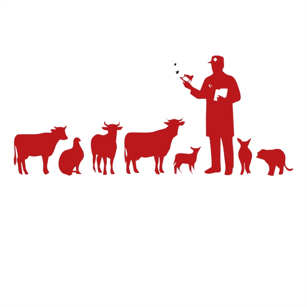 Veterinary Doctors