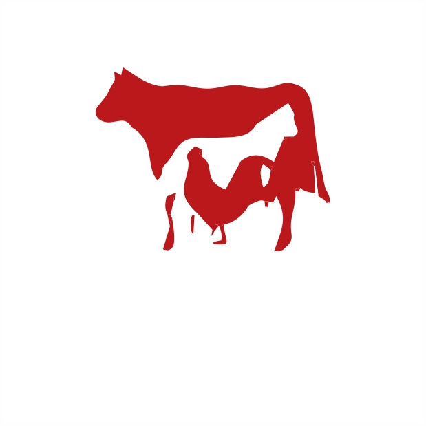 Veterinary Pharmacy 