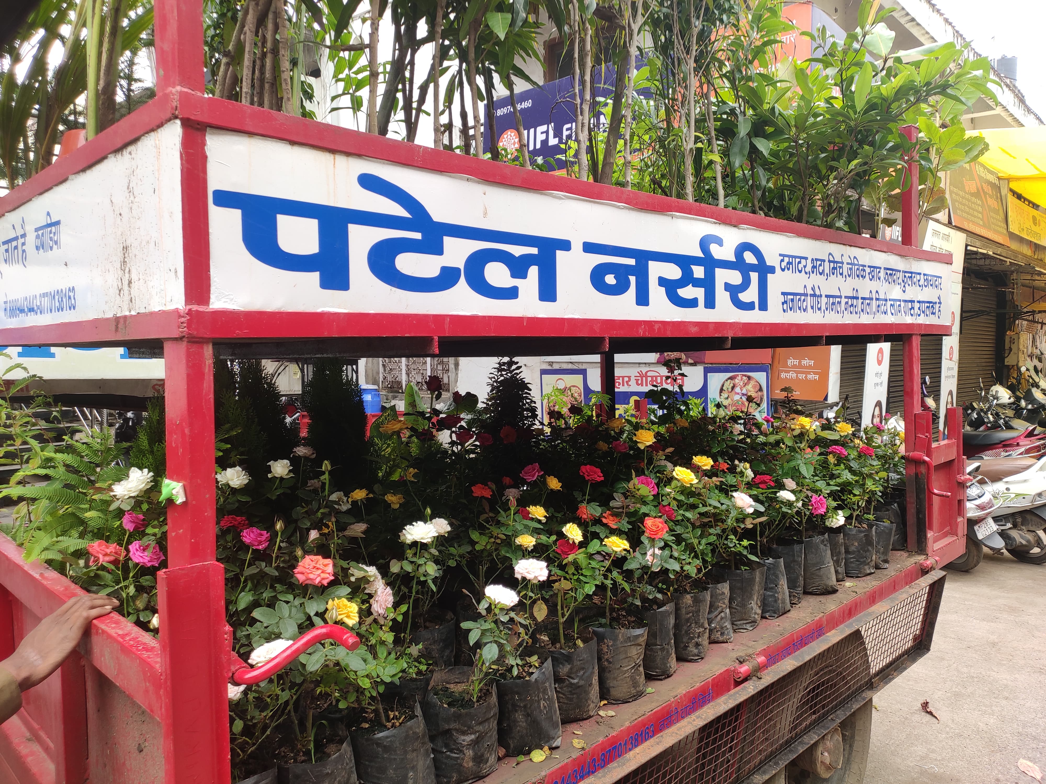 Patel Nursary