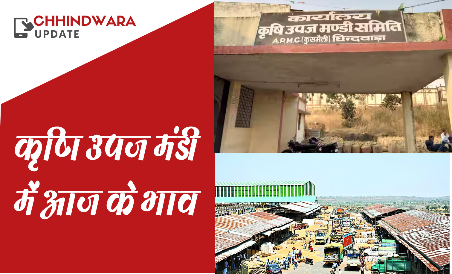 छिंदवाड़ा कृषि उपज मंडी में 23 फरवरी के जिंस के भाव