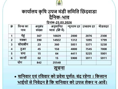 गेंहू-मक्का में तेजी, चना-तुअर के दाम में गिरावट