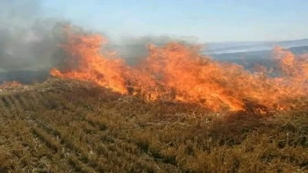 नरवाई जलाने दो व्यक्तियों के खिलाफ एफआईआर दर्ज