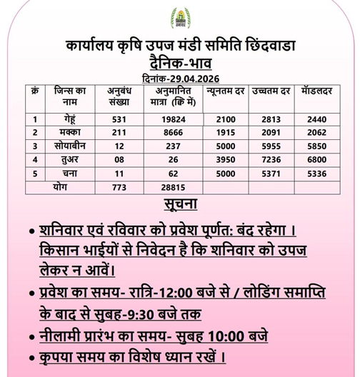 गेंहू-तुअर में मामूली गिरावट लेकिन सोयाबीन-मक्का में अभी भी तेजी