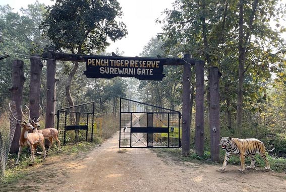 पेंच टाईगर रिजर्व में कैमरों से हो रही रियल टाईम मॉनिटरिंग