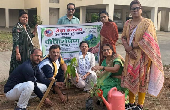 विश्व पर्यावरण दिवस पर पौधारोपण कर पक्षियों के लिए रखे जलपात्र 