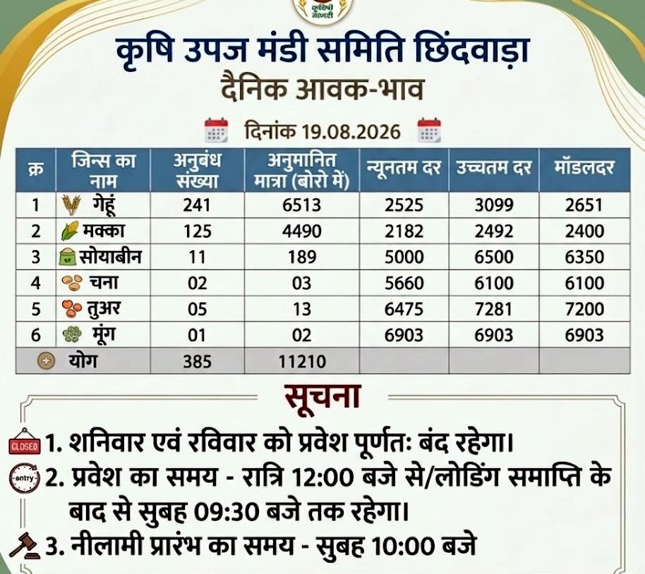 छिंदवाड़ा मंडी में गेहूं की आवक सबसे ज्यादा,  मूंग का भाव ₹6903 तक