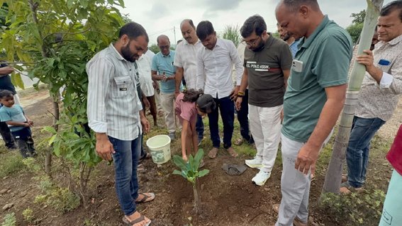 प्रतिदिन सुबह सांसद बंटी साहू कर रहे पौधरोपण