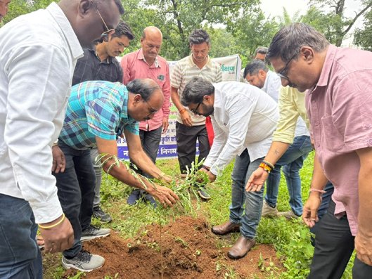 सांसद ने भरतादेव में किया 20 हजार सीड बॉलों का प्रक्षेपण  