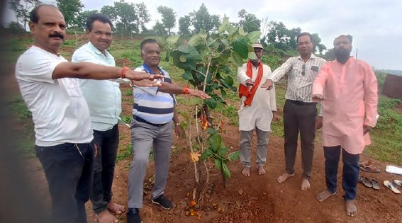 साहू समाज समर्पण संस्था ने रक्षाबंधन पर पेड़ों को बाँधा रक्षा सूत्र