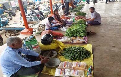 केमिकल रहित जैविक सब्जियों की ओर बढ़ रहा शहरवासियों का रूझान