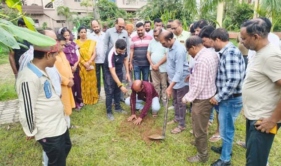 सांसद ने पंचवटी पार्क में किया पौधारोपण, स्थानीय लोगों से सुनी समस्याएं