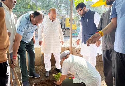 सांसद ने कलेक्ट्रेट के सामने पार्क में किया पौधरोपण 