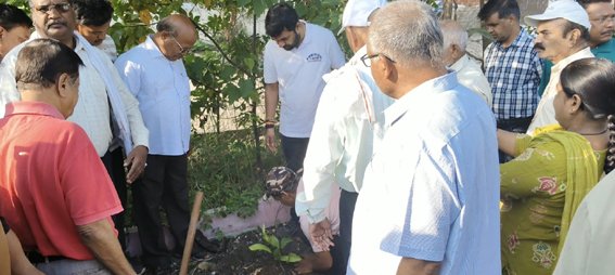 सुबह-सुबह सांसद पहुंचे वार्ड क्रमांक 5, पौधरोपण कर जानी समस्याएं