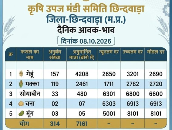 कुसमेली कृषि उपज मंडी में गेंहू की बंपर आवक