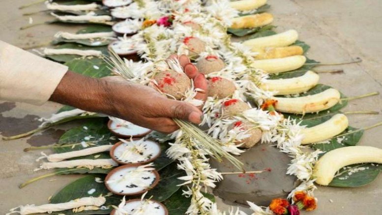 पितृ मोक्ष अमावस्या पर गायत्री परिवार द्वारा विशेष तर्पण कार्यक्रम
