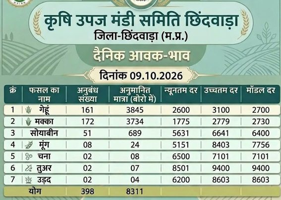 कृषि उपज मंडी में मक्का और गेहूं की रही बंपर बिक्री