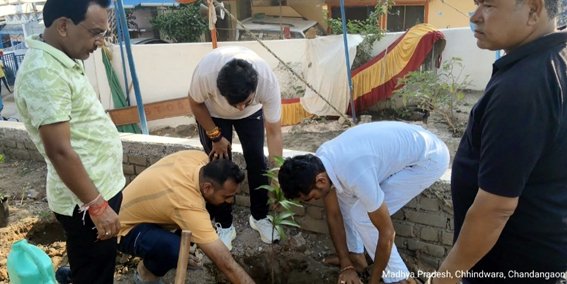 सांसद ने किया चौड़ा बाबा धाम मंदिर परिसर में पौधरोपण