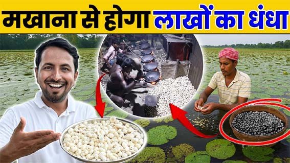 News Thumbnail