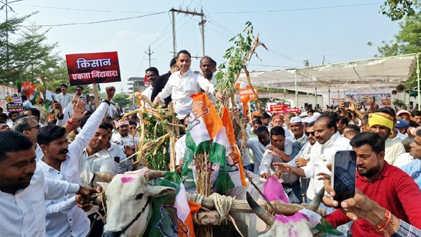 बैलगाड़ी में सवार होकर कलेक्ट्रेट पहुंचे नकुलनाथ